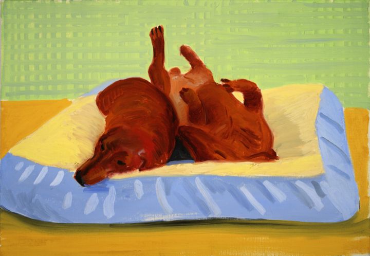 David Hockney's painting: Dog Painting 25, from 1995. An oil painting of two dachsunds on a soft powder-blue and light yellow dog bed. One dog, on the left is laying down with their face pointed towards us and down. All of the limbs of the dog on the left are tucked under their little body! The dog on the right is on their back, with their legs flailing a little.
